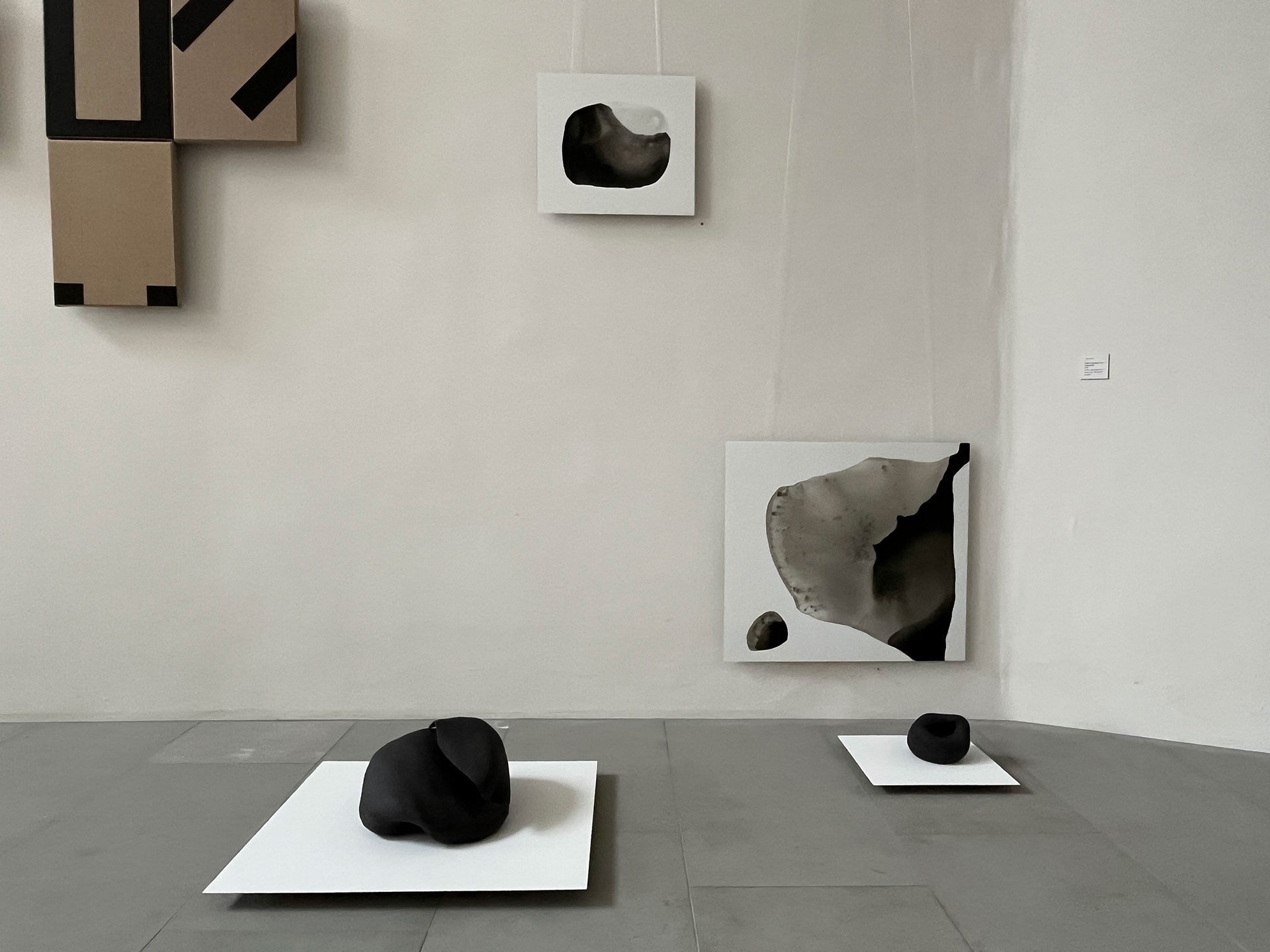 Malerei und Skulptur in Monochrome und Schwarz-weiss von Anita Regli